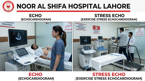 ECHO & Stress ECHO